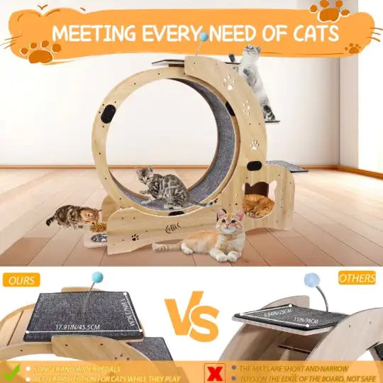 Cat Running Wheel With Silent Wheel