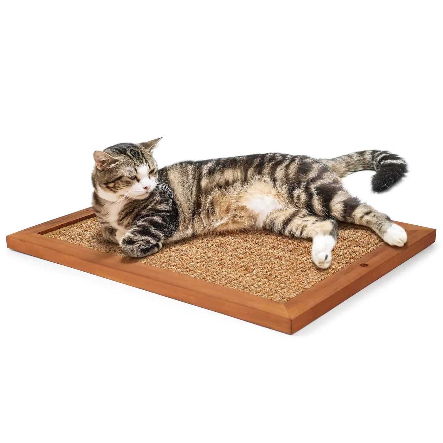 Cat Scratching Post - BXL Natural Wooden Sisal Cat Wall Scratcher Floor or Wall Mounted Vertical Cat Scratch Pad for Indoor Cats Adults or Kittens Cat Wall Furniture Protector