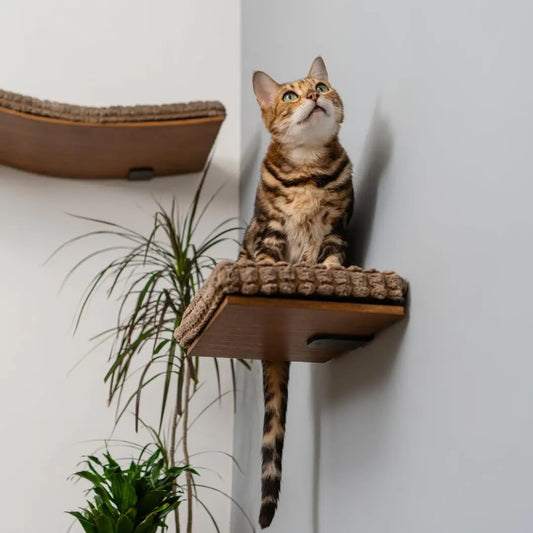 Kitsune Garden Cat Step Cat Wall Furniture Wall Mounted Shelf Cat Wall Shelf Cat Shelves Cat Bed Cat Shelf Cat Steps for Wall Brown (Step)
