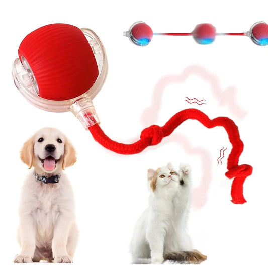 THINKKEEN Interactive Cat Toy Balls 2025 Upgraded Cat Toys for Indoor Cats Smart Self Rolling Interactive Cat Dog Ball Electric Dog Ball Toy for Bored Indoor Adult Cats Kitten Red