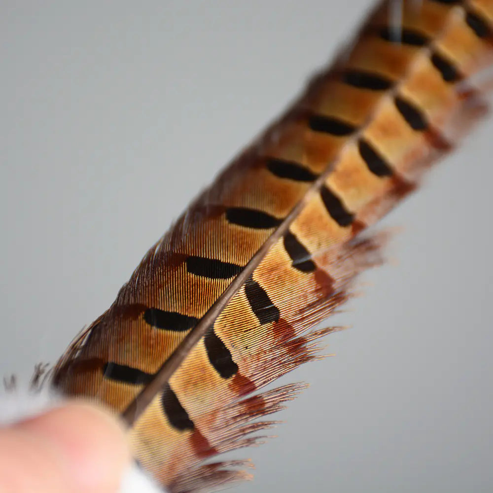 Rabbit and Feather Cat Teaser Wand Toy