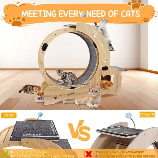 Cat Running Wheel With Silent Wheel