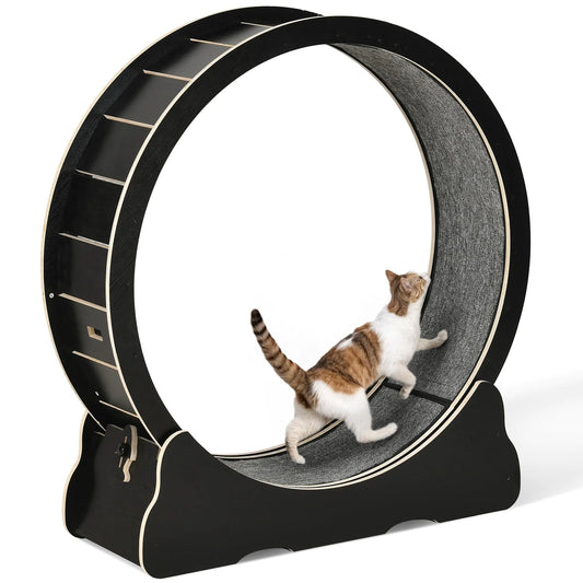 YITAHOME Cat Wheel Exerciser for Indoor 43.3 inch Large Cat Exercise Wheel for Running Silent Cat Treadmill for with Safety Lock for Kittys Weight Loss Fitness and Health