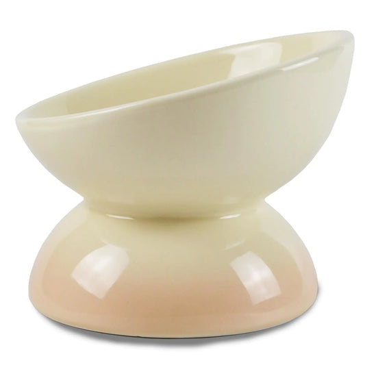 Ceramic Raised Cat Bowl 15° Tilted Elevated Cat Food or Water Bowl for Cats and Small Dogs Anti-Vomiting Cat Dish Stress Free Cat Feeder Pink