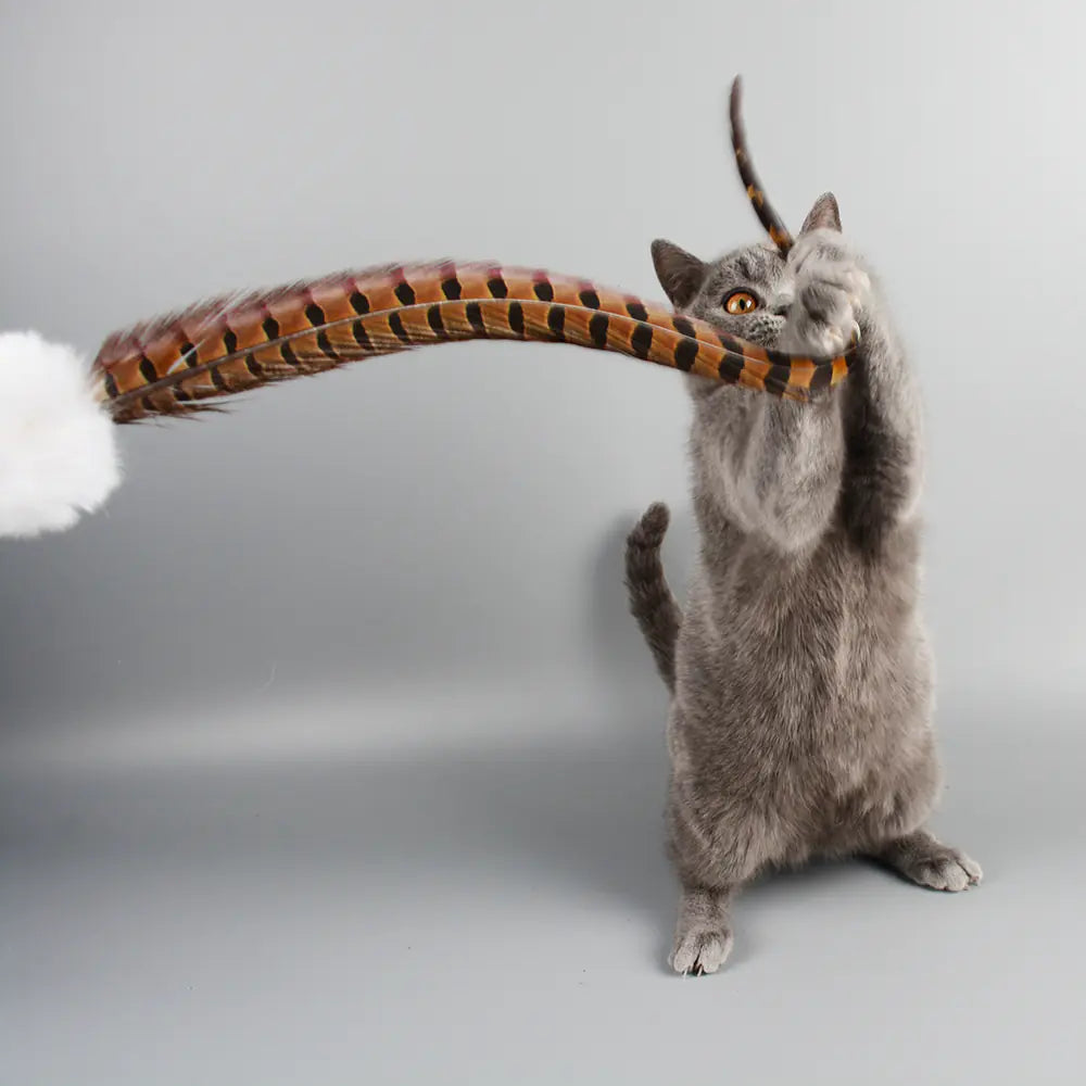 Rabbit and Feather Cat Teaser Wand Toy