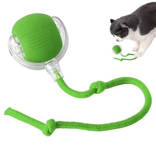 Interactive Cat Toys Ball for Indoor Cats - 2024 New Interactive Self Rolling Dog Ball Automatic Cat Toy Fast Rolling on Carpet 360° Smart Automatic Rolling Ball Toy Electric Dog Balls for Cat (Green)