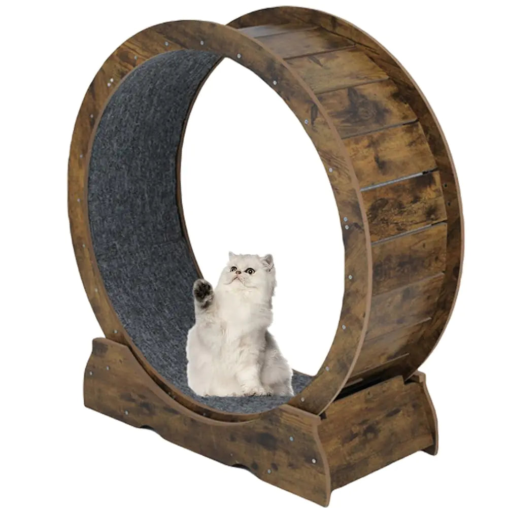 laddawan Cat Wheel Exerciser for Indoor Cats Large，Cat Running Wheel ， Cat Exercise Wheel ，Small Animals Exercise Wheels Cat Treadmill Wheel with Locking Mechanism (35.4"(90cm) Rusty Brown)
