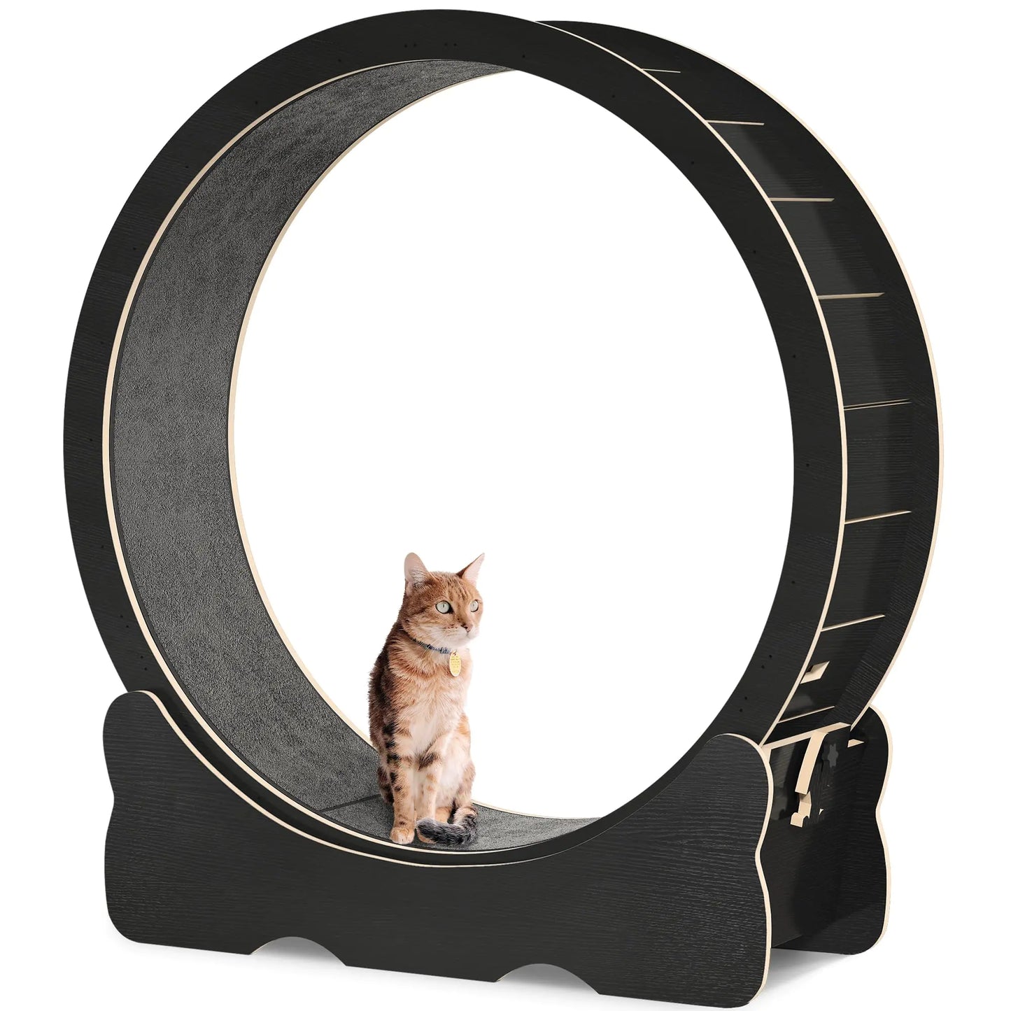 DWVO Cat Wheel Exerciser for Indoor 43.3 inch Large Cat Exercise Wheel for Running Silent Cat Treadmill for with Safety Lock for Kittys Weight Loss Fitness and Health