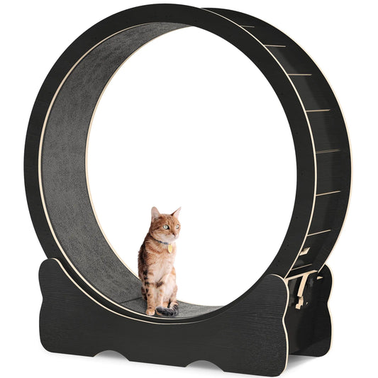 DWVO Cat Wheel Exerciser for Indoor 43.3 inch Large Cat Exercise Wheel for Running Silent Cat Treadmill for with Safety Lock for Kittys Weight Loss Fitness and Health