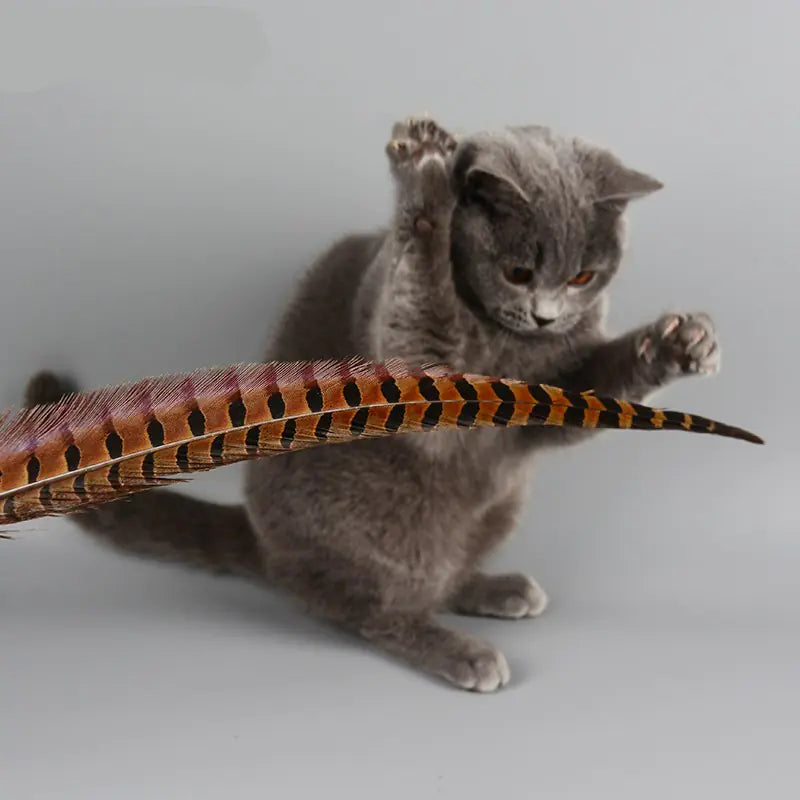 Rabbit and Feather Cat Teaser Wand Toy