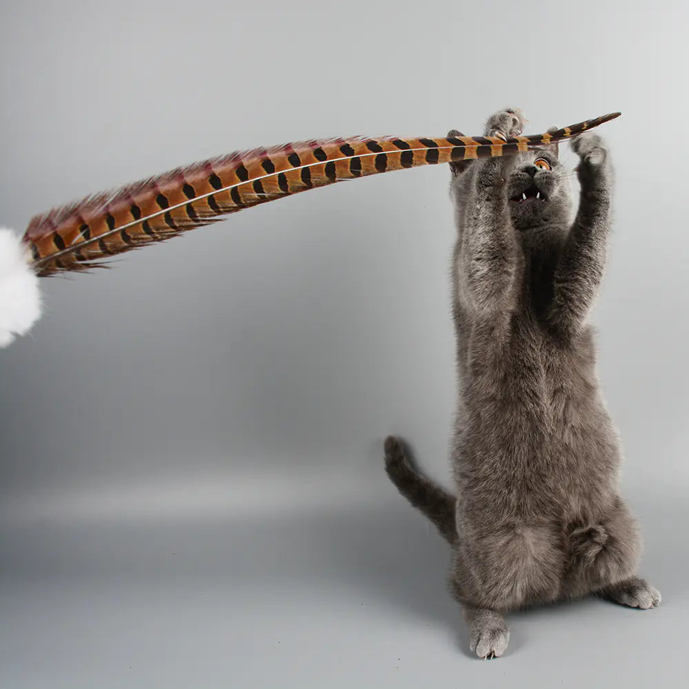 Rabbit and Feather Cat Teaser Wand Toy