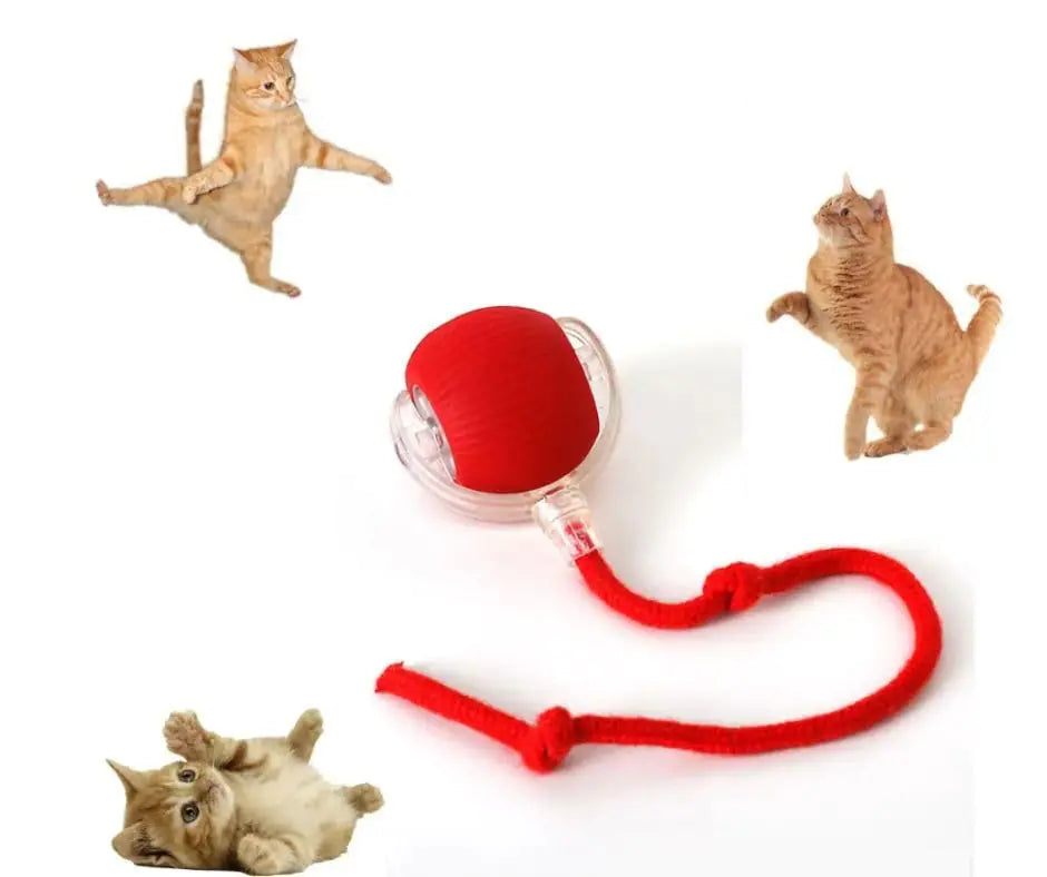 Interactive Rolling Cat Ball Toy (red) 360° Smart Automatic Rolling Pet Ball Chewie Viral Rolling Ball